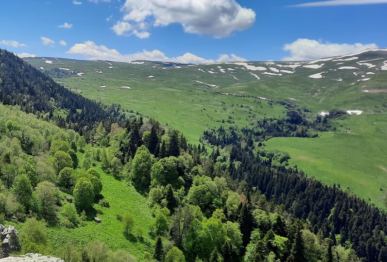 Главная